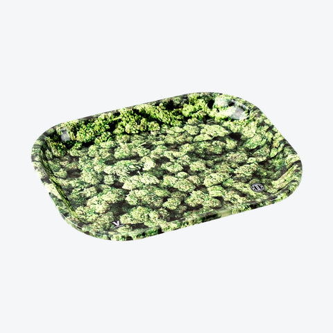 Buds מגש